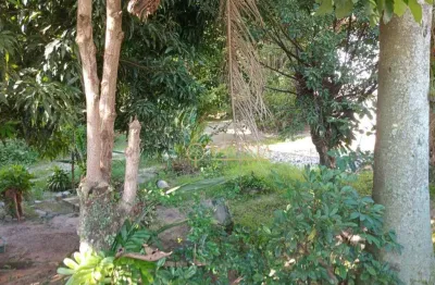 Terreno à venda na Rua João Evangelista da Costa, 663, Jardim Atlântico, Florianópolis