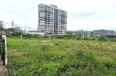 Terreno comercial para alugar na Rua João Grumiche, 1, Roçado, São José