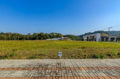Terreno à venda na Rua Benjamin Dagnoni, Rio do Meio, Itajaí