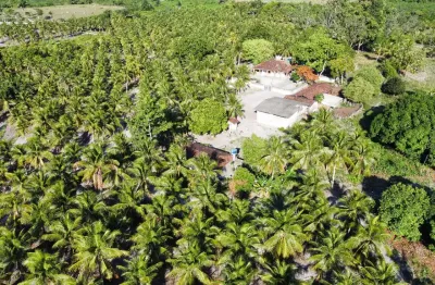 Propriedade rural à venda – 70 hectares no município do conde/pb