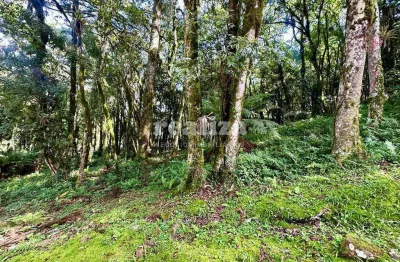 Terreno em condomínio fechado à venda na Rua José Pedro Piva, Parque Pinheiro Grosso, Canela