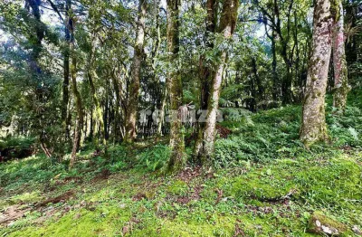 Terreno em condomínio fechado à venda na Rua José Pedro Piva, 880, Parque Pinheiro Grosso, Canela