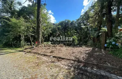 Terreno à venda na Narciso Perottoni, Vila Suica, Canela
