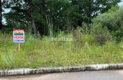 Terreno à venda na Rua Waldi Kich, 01, Dutra, Gramado