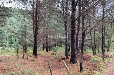 Apartamento à venda na Estrada Em Direção Ao Ferradura, Zona Rural, Canela