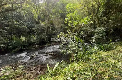 Chácara / sítio à venda na Estrada Para Usina Do Canastra, Canastra Alta, Canela