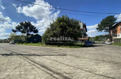 Terreno à venda na Rua José Irmao Otão, Leodoro de Azevedo, Canela