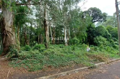 Terreno à venda na Rua Genebra, Vila Suiça, Gramado