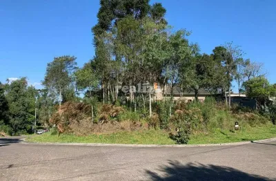 Terreno à venda na Rua Arthur Renheimer, Vivendas do Arvoredo, Gramado