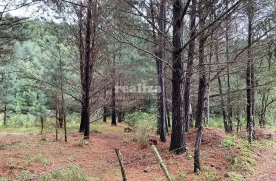 Fazenda à venda na Estrada Em Direção Ao Ferradura, 01, Zona Rural, Canela