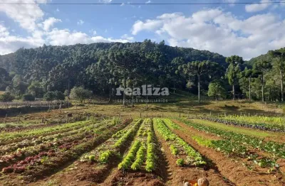 Fazenda à venda na Avila Baixa, Linha Ávila, Gramado