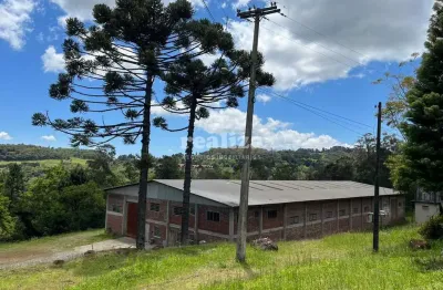 Fazenda à venda na Estrada João Carlos Camerini, Carazal, Gramado