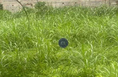 Terreno para venda no bairro de paraíso do morumbi.