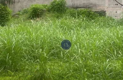 Terreno à venda, 250 m² - paraíso do morumbi - são paulo/sp