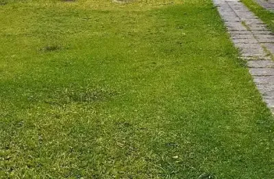 Vendo  casarao valor 480 mil rocha miranda ( aceito financiamento )