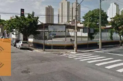 Terreno, 928 m² - venda por r$ 14.000.000 ou aluguel por r$ 26.793/mês - belenzinho - são paulo/sp