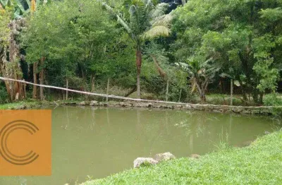 Chácara com 3 dormitórios à venda, 16500 m² por r$ 650.000 - piedade - piedade/sp