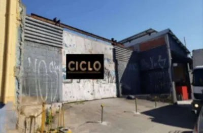 Terreno, 803 m² - venda por r$ 4.000.000 ou aluguel por r$ 10.493/mês - vila guilhermina - são paulo/sp