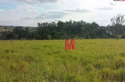 Terreno à venda, 20000 m² por r$ 2.300.000,00 - cruz das almas - porto feliz/sp