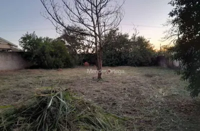 Terreno à venda, 1100 m² por r$ 290.000,00 - recanto são manoel - salto de pirapora/sp