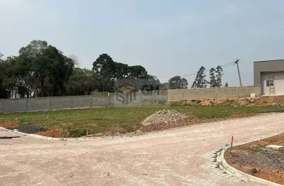 Terreno à venda na Estrada Principal Do Passo Amarelo, 100, Centro, Fazenda Rio Grande
