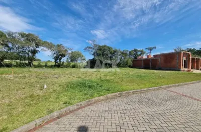 Terreno à venda na Rod. Prefeito João Luiz Da Silva, KM 3 7, Centro, Passo de Torres