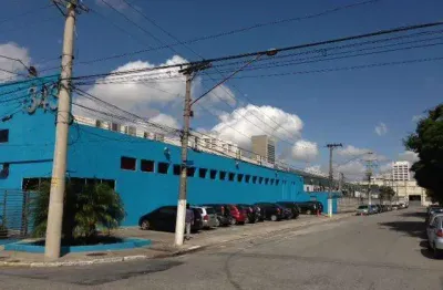 Galpão para alugar, 3800 m² por r$ 130.000,00 - vila leopoldina - são paulo/sp