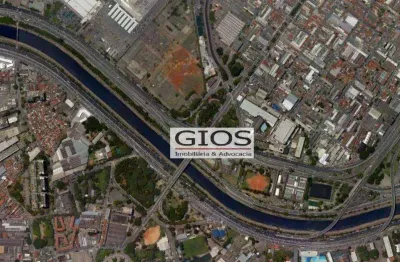 Terreno à venda, 3500 m² por r$ 27.000.000,00 - vila guilherme - são paulo/sp