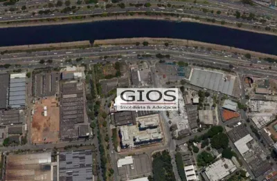 Terreno, 14000 m² - venda por r$ 50.000.000,00 ou aluguel por r$ 250.000,00/mês - água branca - são paulo/sp