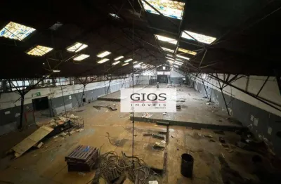 Galpão à venda, 4033 m² por r$ 9.900.000,00 - limão - são paulo/sp