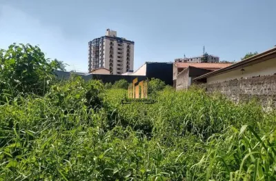 Terreno comercial para alugar na Avenida São Luiz, Vila Rosália, Guarulhos