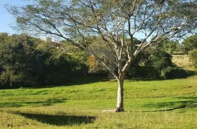 Terreno à venda, 6920 m² - paragem dos verdes campos - gravataí/rs
