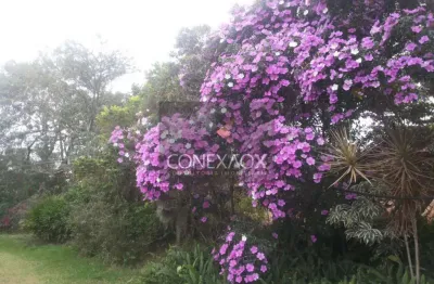 Terreno à venda na alameda carlos de carvalho vieira braga, km 5,5a, chácaras alpina, valinhos por r$ 5.200.000