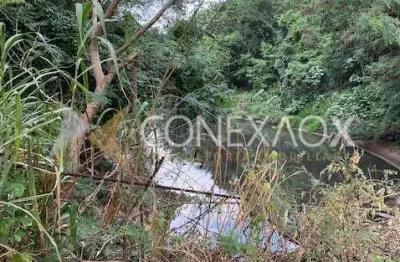 Chácara / sítio com 3 quartos à venda na avenida doutor luís de tella, 01, cidade universitária, campinas, 700 m2 por r$ 500.000