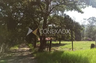 Chácara / sítio com 4 quartos à venda na rua particular 1, 355, condomínio recreio das águas claras, rio claro, 340 m2 por r$ 3.000.000