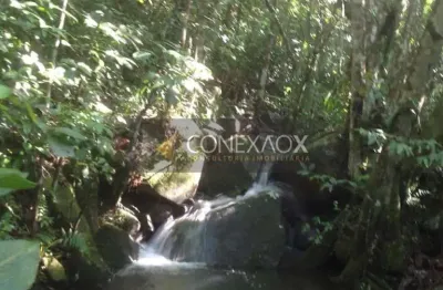 Fazenda à venda na estrada cristóvão machado de campos, 4407, vargem grande, florianópolis, 60 m2 por r$ 2.800.000