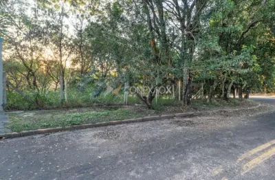 Terreno à venda na rua álvaro alves fussi, 221, jardim botânico (sousas), campinas por r$ 328.000