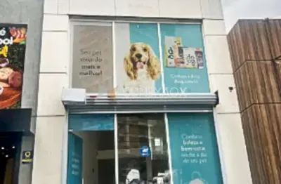 Sala comercial à venda na rua general osório, 2.175, cambuí, campinas, 100 m2 por r$ 5.900.000