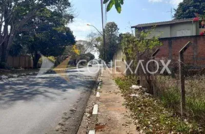 Terreno à venda na rua giuseppe máximo scolfaro, 274, cidade universitária, campinas por r$ 370.000