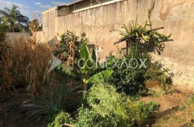 Terreno comercial à venda na rua helena steimberg, 1.241, nova campinas, campinas por r$ 798.000