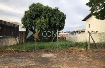 Terreno comercial à venda na rua carolina prado penteado, 1.101, nova campinas, campinas por r$ 1.044.000