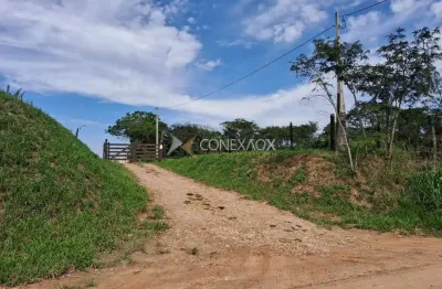 Terreno comercial à venda na hilda david dal'bo, 1,8, guedes, jaguariúna, 300 m2 por r$ 6.000.000