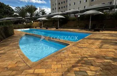 Apartamento com 3 quartos à venda no jardim nova europa, campinas , 60 m2 por r$ 320.000