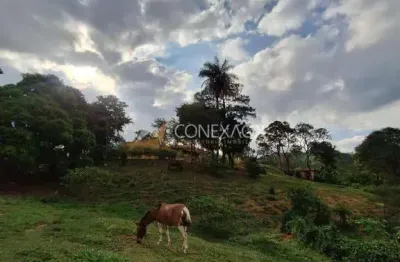 Chácara / sítio com 5 quartos à venda na Rodovia Dom Pedro I, 118, Lopes, Valinhos, 480 m2 por R$ 5.900.000