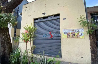 Terreno à venda, 182 m² por r$ 670.000,00 - chácara mafalda - são paulo/sp