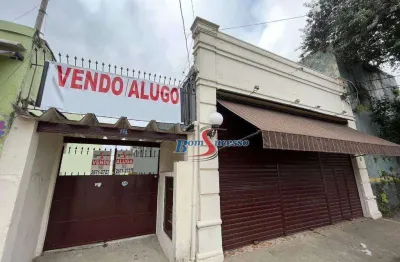 Terreno à venda, 480 m² por r$ 2.580.000,00 - vila invernada - são paulo/sp