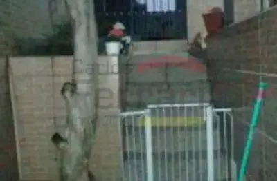 Casa na zona norte parada inglesa a 5 minutos do metro