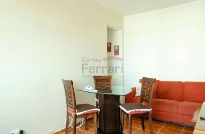 Apartamento a venda, parque mandaqui, 02 dormitórios, 01 vaga