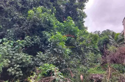 Terreno em condomínio fechado à venda na Avenida Nova Cantareira, 3924, Tucuruvi, São Paulo
