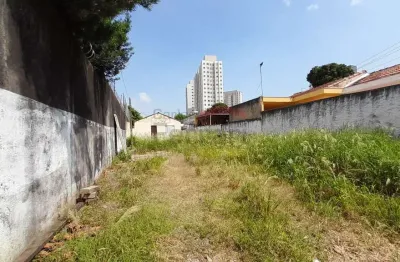 Terreno para venda ou locação, vila ré, excelente área para construir.